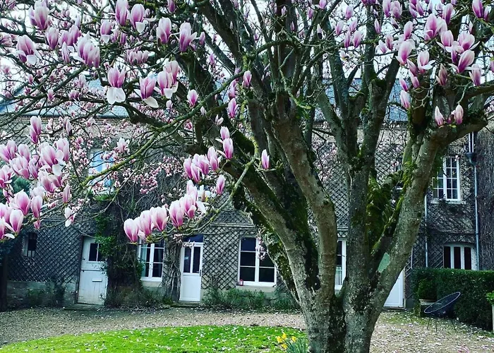 La Benjamine 住宿加早餐酒店